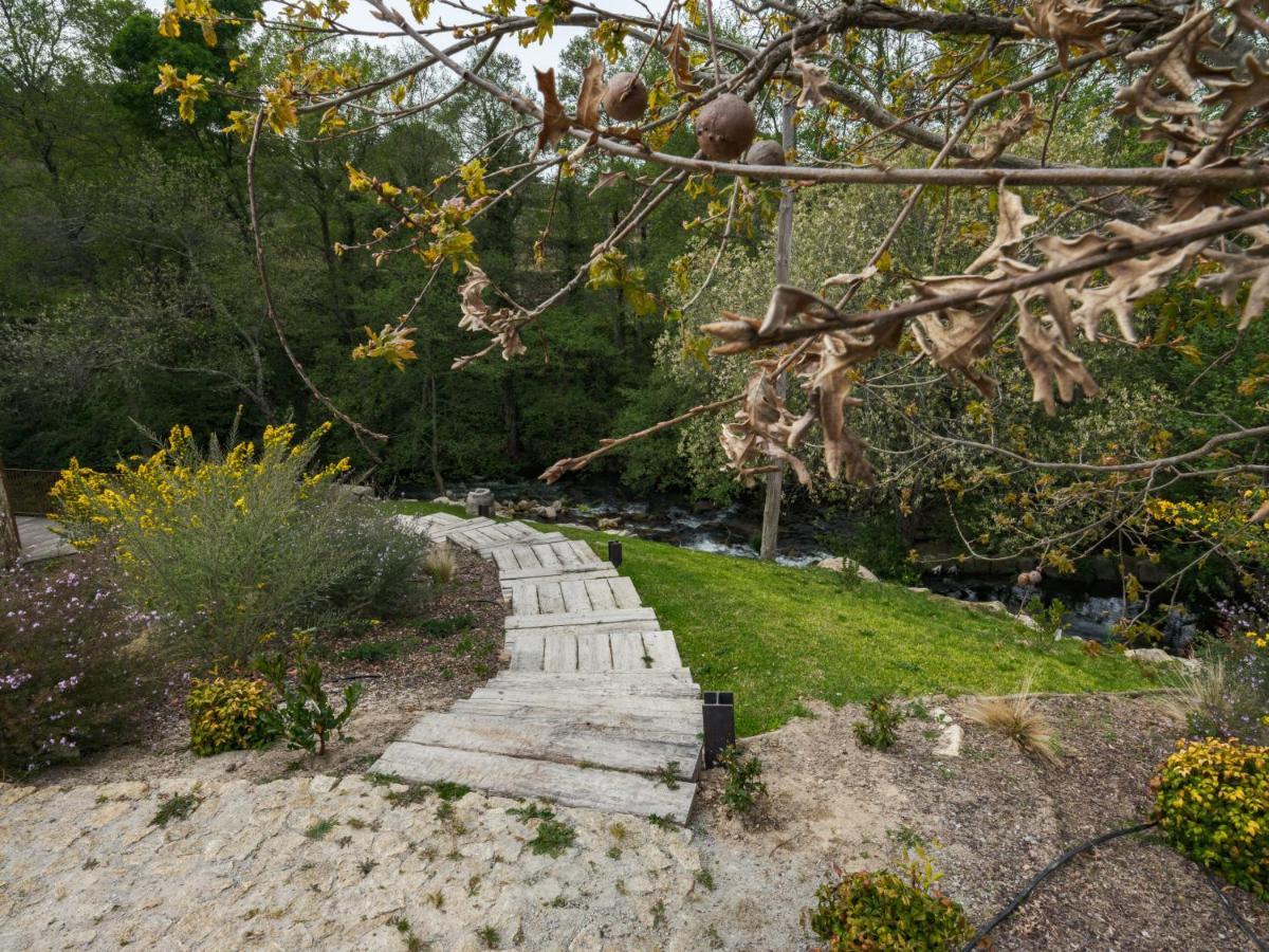Lavandeira Douro Nature & Wellness Séjour à la ferme